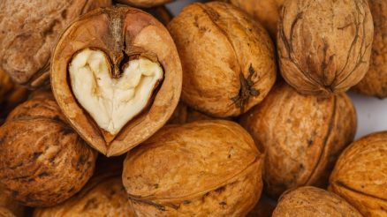 walnuts in the shape of a human heart